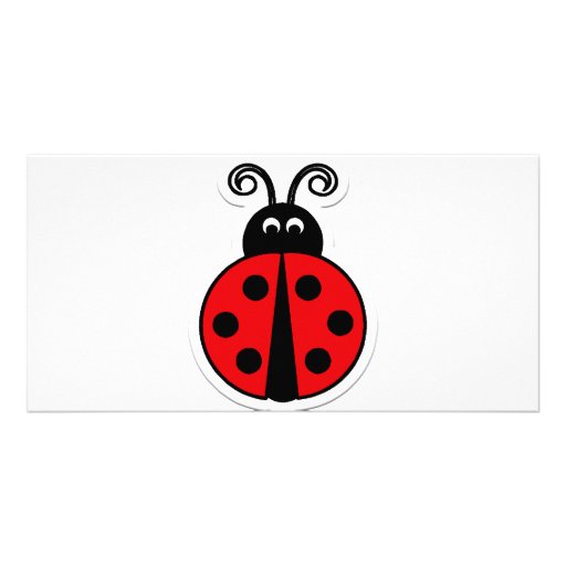 ladybug photo cards