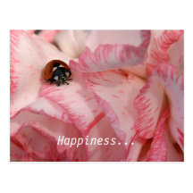 Ladybug Postcard