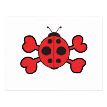ladybug Skull red Crossbones Postcard