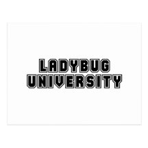 Ladybug University Postcard