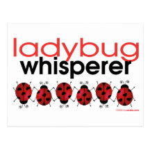 Ladybug Whisperer Post Cards