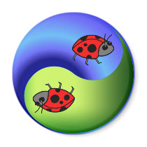 Ladybug Yin Yang Refrigerator Magnets