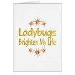 Ladybugs Brighten My Life Cards