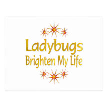 Ladybugs Brighten My Life Postcard