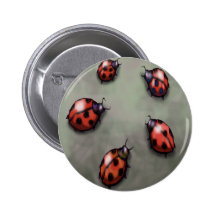 Ladybugs Buttons