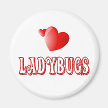 Ladybugs Fridge Magnet