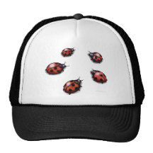 Ladybugs Hat