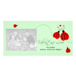Ladybugs in Love Valentine Photo Cards
