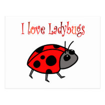 Ladybugs postcards