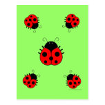 Ladybugs Postcard