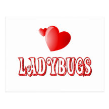 Ladybugs Postcards