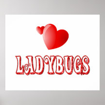 Ladybugs Poster