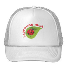 Ladybugs Rule Hats