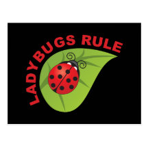 Ladybugs Rule Post Card