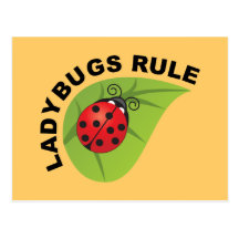Ladybugs Rule Postcards