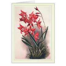 Laelia gouldiana greeting card