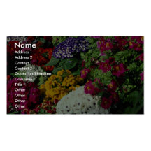 L'affichage floral dans Niagara gare la serre chau Cartes De Visite Professionnelles