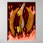 L'affiche de Phoenix