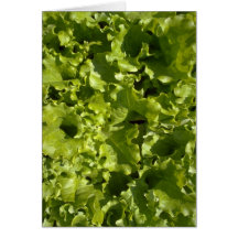 Laitue verte carte de vœux