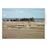 Lake Abbe