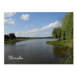 Lake at JW Marriott Grande Lakes Postcards