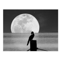 Lake Bird and Full Moon Postcard