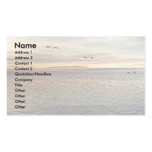 Lake Birds Business Cards