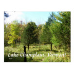 Lake Champlain, Vermont Postcards