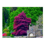 Lake District Postcard