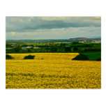 Lake District Postcards