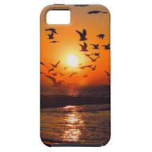 Lake Erie Sunset iPhone 5 Covers