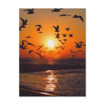 Lake Erie Sunset Post Card