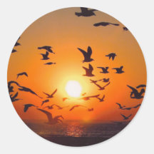 Lake Erie Sunset Round Sticker