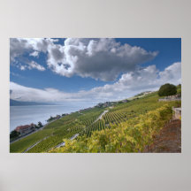 Lake Geneva (Lac Léman) 006 Posters