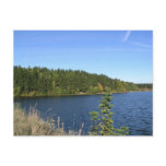 Lake in the woods