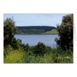 Lake Leake Cards