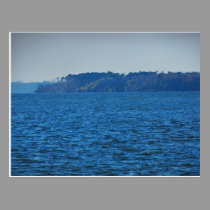 Lake Livingston postcard postcards