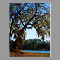 Lake Livingston postcard 2 postcards