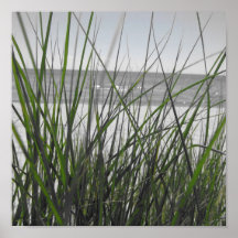 Lake Michigan behind grass Posters