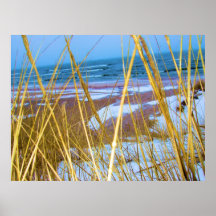 Lake Michigan Dune Grass Print