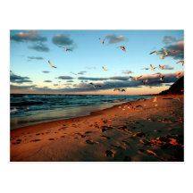 Lake Michigan Sunset Postcard