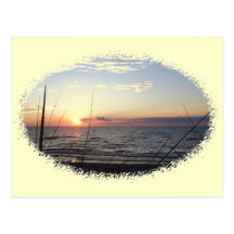 Lake Michigan Sunset Postcards