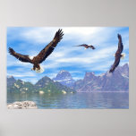 Lake of the Eagles posters