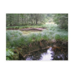 Lake of the Woods postcards