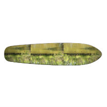 Lake Penny Custom Skateboard