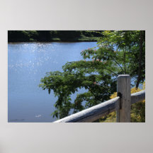 Lake photography poster