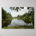 Lake Print