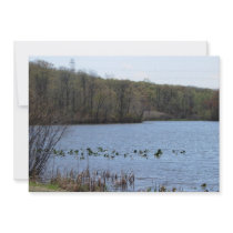 Lake Serenity Announcements