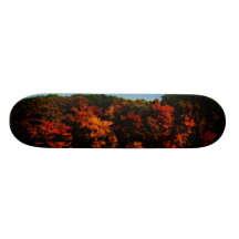 LAKE SKATEBOARD
