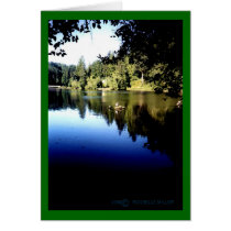 Lake Sylvia Blank Card